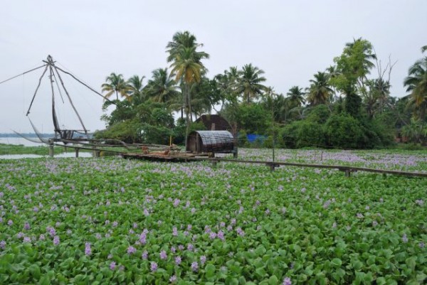 kumbalangi-Kerala-e1459159126748.jpg