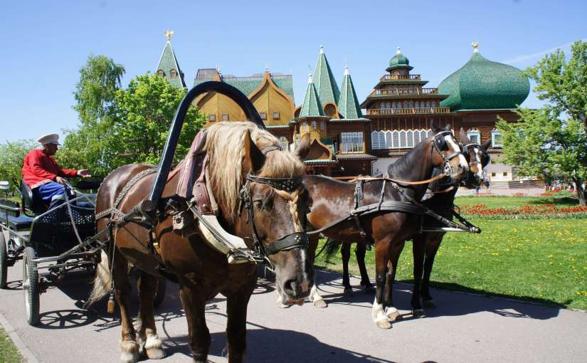 Kolomenskoe-Park-10.jpg