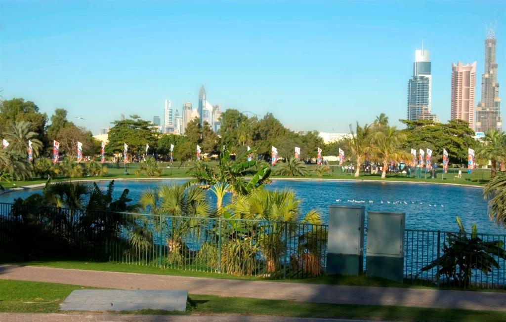 Safa-Park-1.jpg