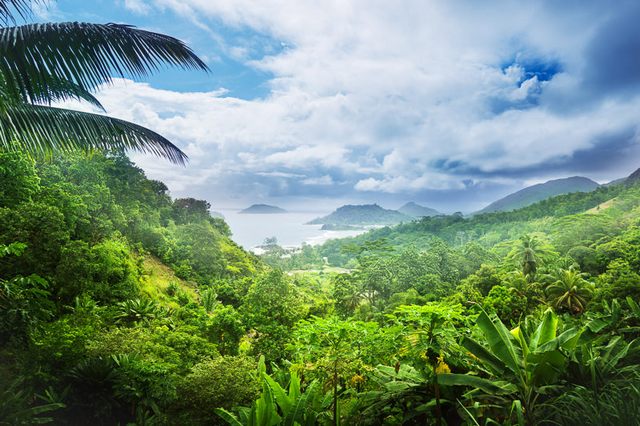 1554923704_598_morne-seychellois-national-park.jpg