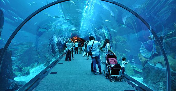 1554923647_41_Dubai-Aquarium-Underwater-Zoo-2.jpg