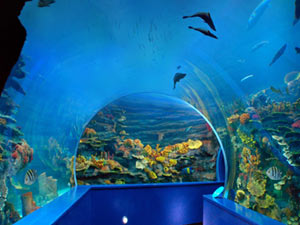 Sharjah-Aquarium.jpg