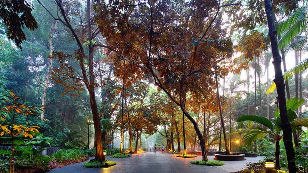 Singapore-Botanic-Gardens-5.jpg