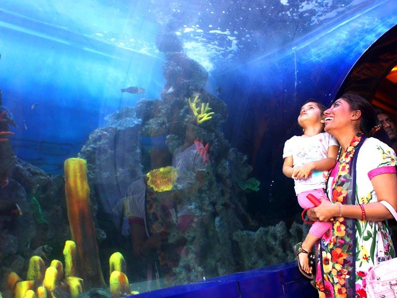 1554923561_821_taraporewala-aquarium-mumbai.jpg