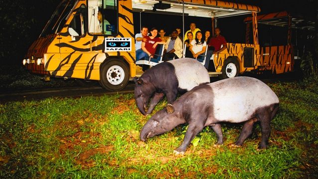 night-safari-singapore-1.jpg