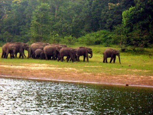 thekkady-kerala-2.jpg