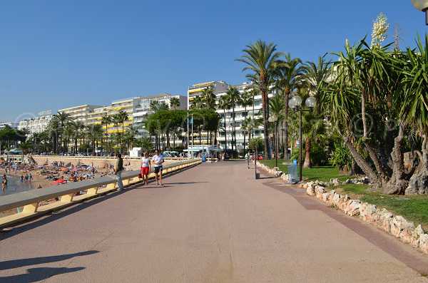 Promenade-de-la-Croisette2.jpg