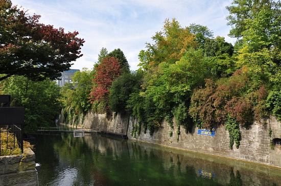 botanical-garden-zurich.jpg