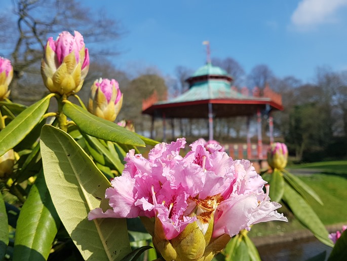 Sefton-Park-51.jpg