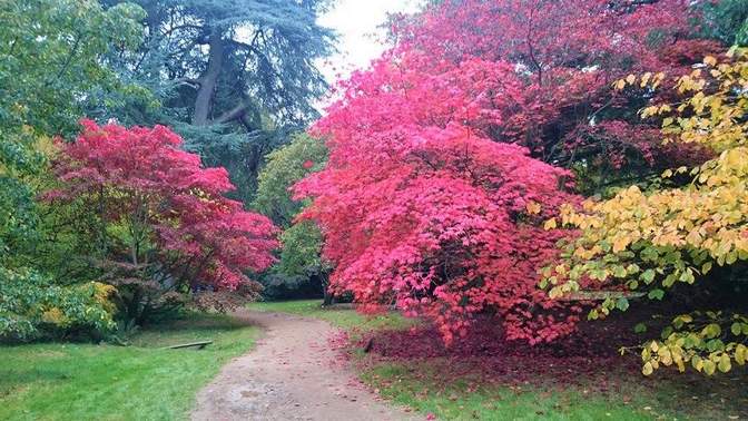 Harcourt-Arboretum-14-1.jpg