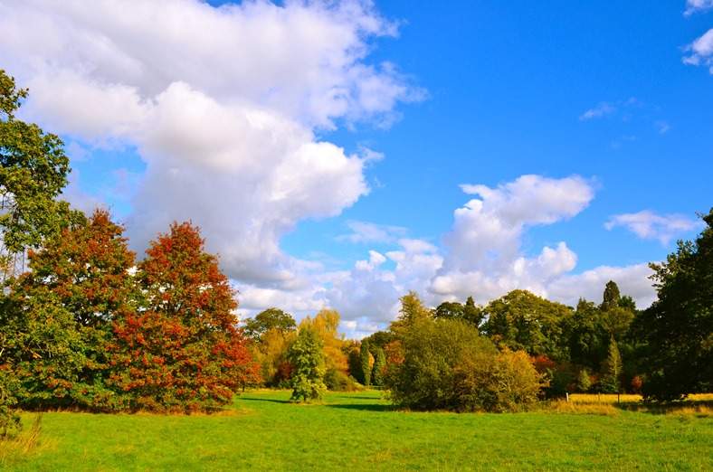 Harcourt-Arboretum-15-1.jpg