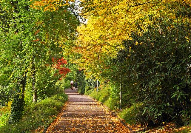 Innsbrucker-Hofgarten-26-1.jpg