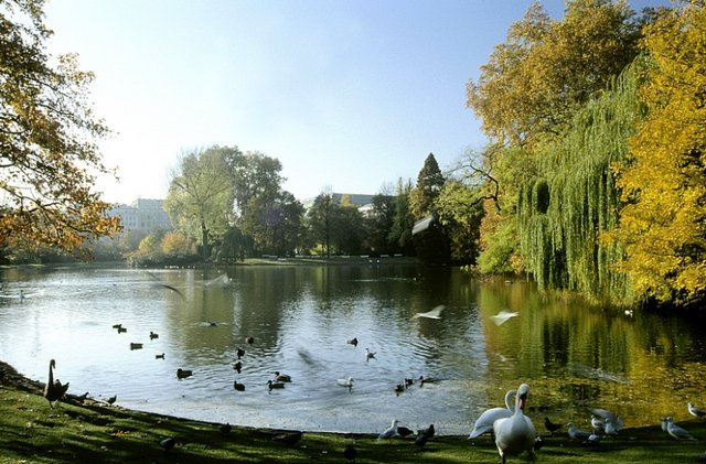 Innsbrucker-Hofgarten-13-1.jpg