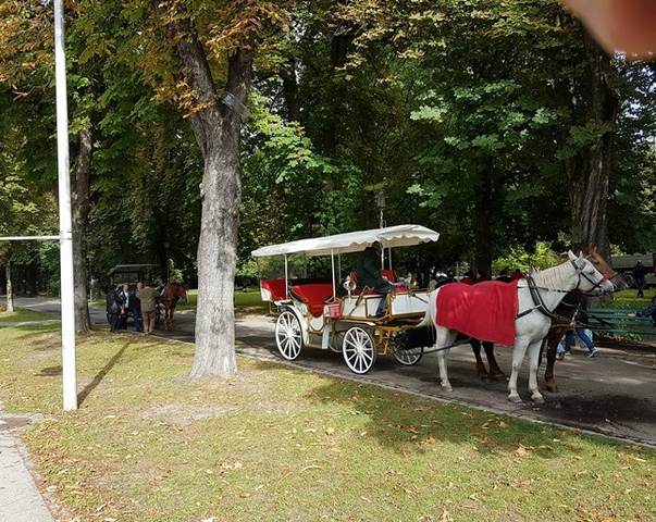 Innsbrucker-Hofgarten-35-1.jpg