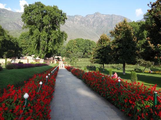 Nishat-Garden-13-1.jpg