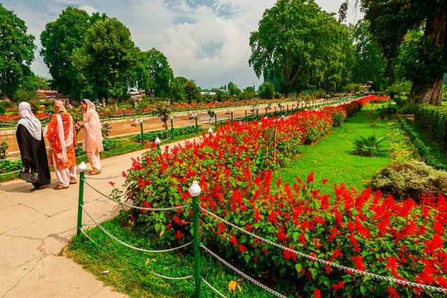 Shalimar-Bagh-14-1.jpg