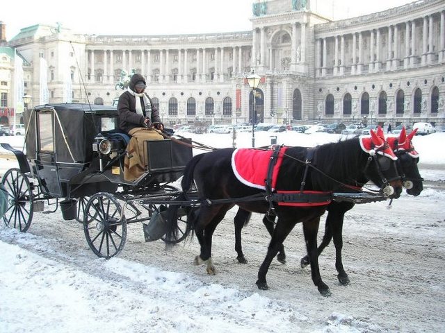 The-Hofburg-imperial-palace-35.jpg