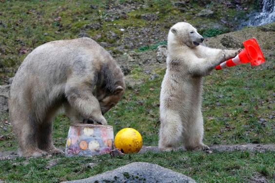 hellabrunn-zoo-munich.jpg