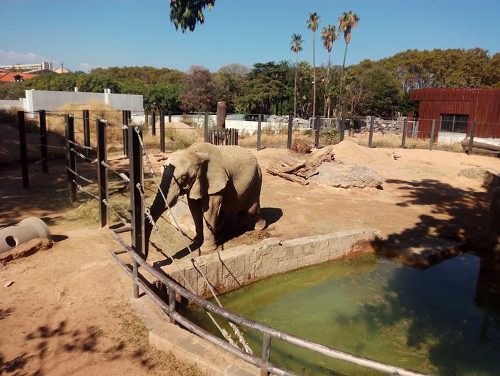 Parcelona-Zoo-28-1.jpg