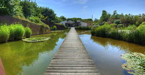 botanical-garden-barcelona5.jpg