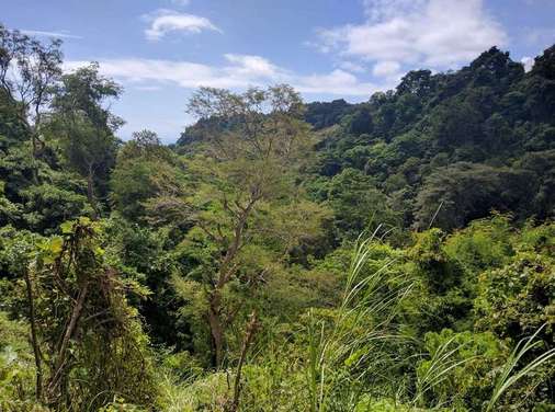 Tiu-Kelep-Waterfall-lombok-4.jpg