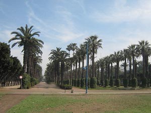 Parc-de-la-Ligue-Arabe.jpg