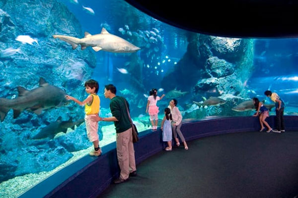 Sea-Life-Bangkok-Ocean-World.jpg