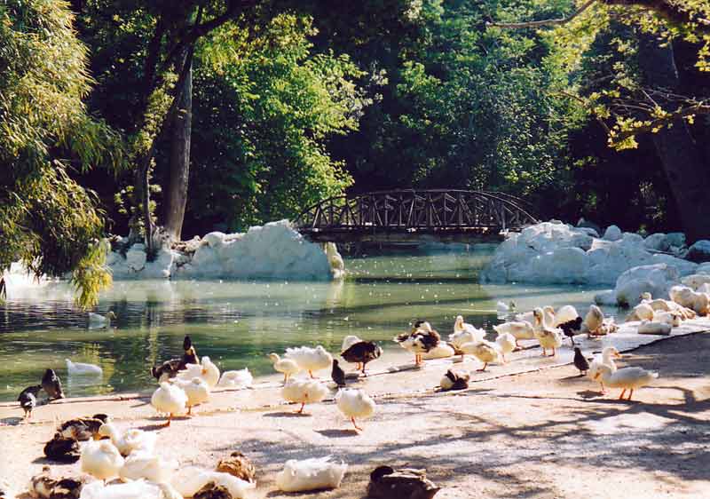 National-Garden-Athens.jpg