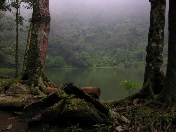 telaga-warna-puncak-7.jpg