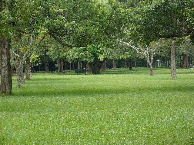 Lal-Bagh-Picnic.jpg