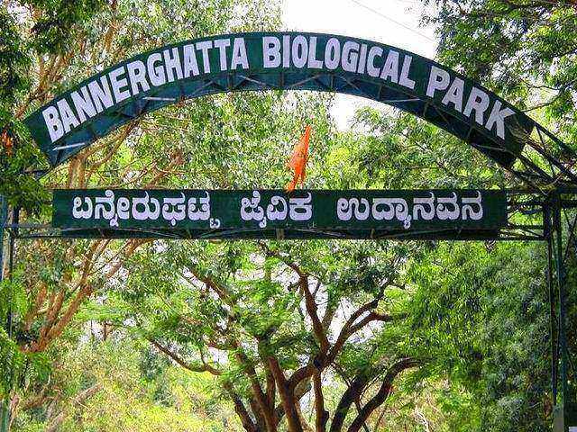 Bannerghatta-National-Park-Gates.jpg