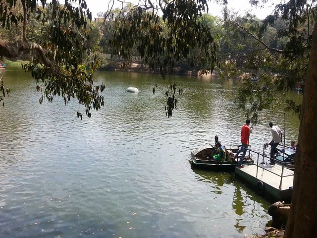 Bannerghatta-National-Park-Cruise.jpg