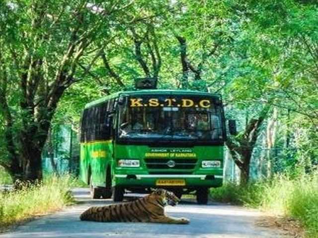 Bannerghatta-National-Park-Safari.jpg