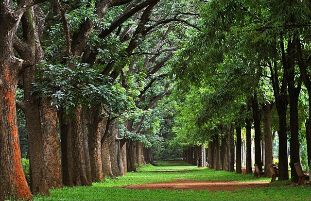 bangalore-parks-2.jpg