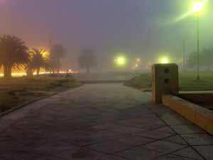 740485_fog_7.jpg