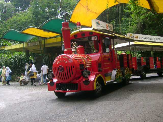 taman-safari-puncak-indonesia-5.jpg