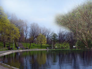 Parc-LaFontaine.jpg