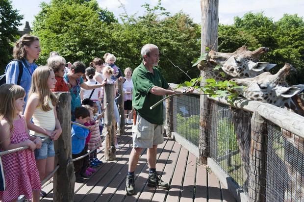 london-zoo.jpg