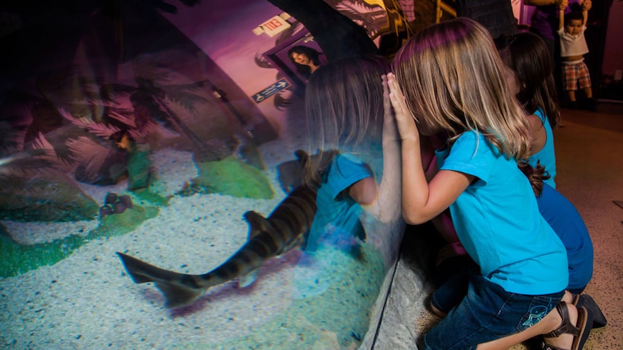 aquarium-activities.jpg