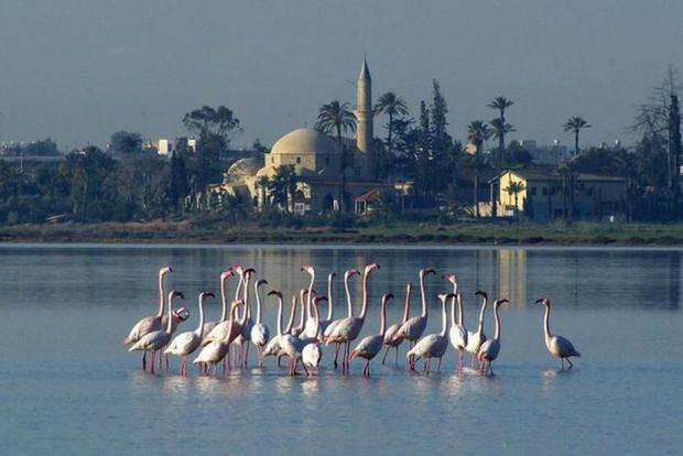 tourism-in-larnaca-4.jpg