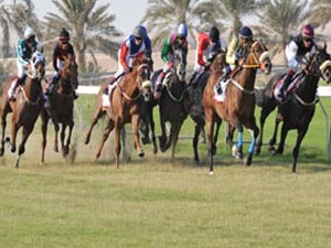 Sakir-Horse-Race-Course.jpg