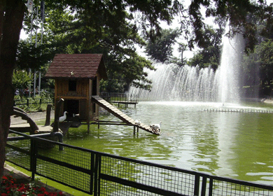 yildiz-park-istanbul-1.gif