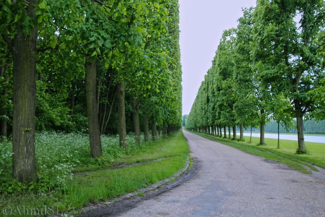 boulogne-park-paris.jpg