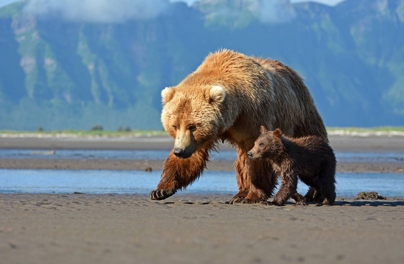 CEWEPhotoAward2019-0.jpg