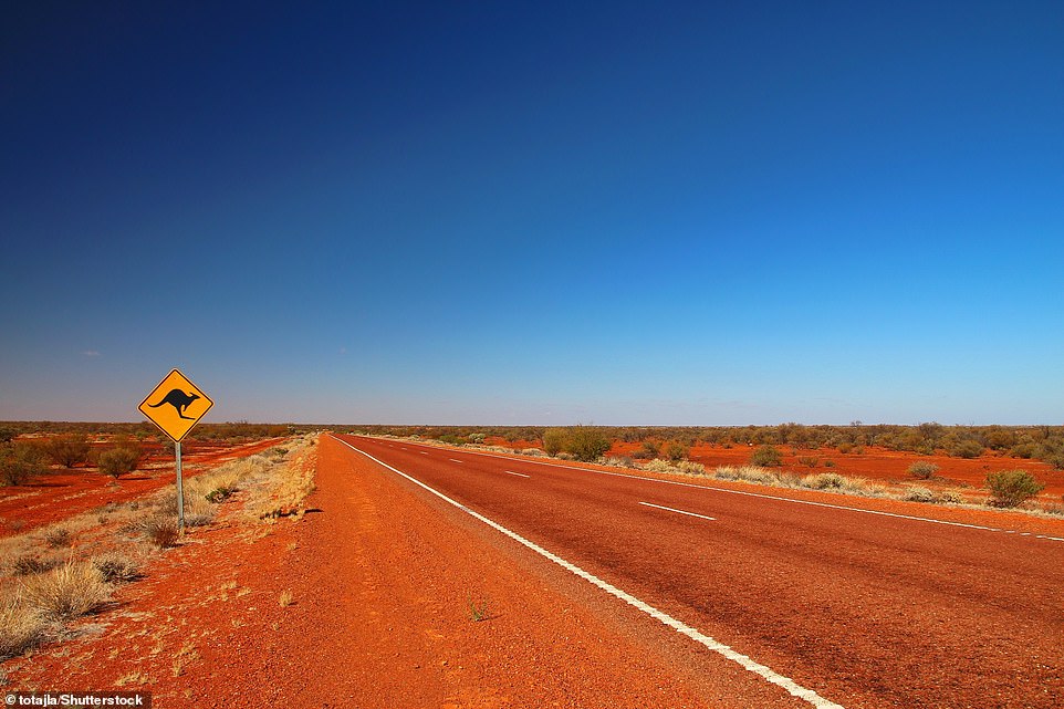 kangaroo-road.jpg