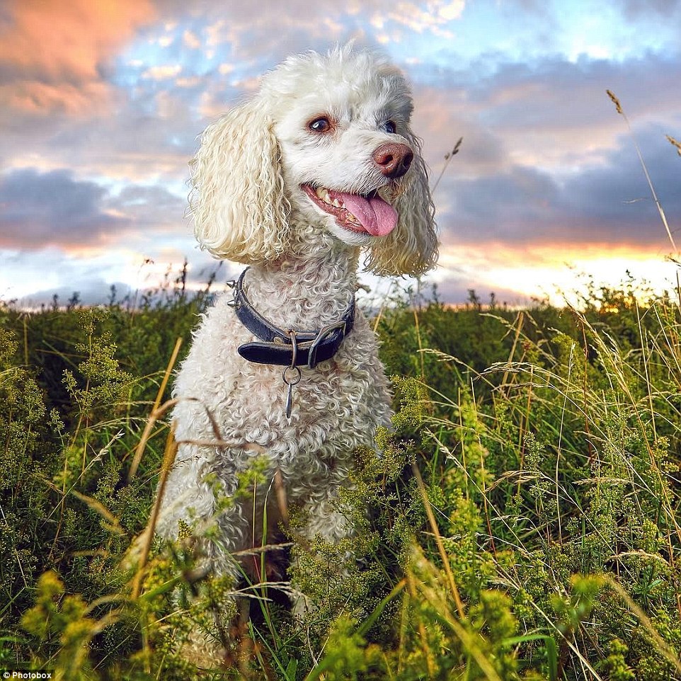 _a_field_on_the_outskirts_of_New-a-3_1536333040727.jpg