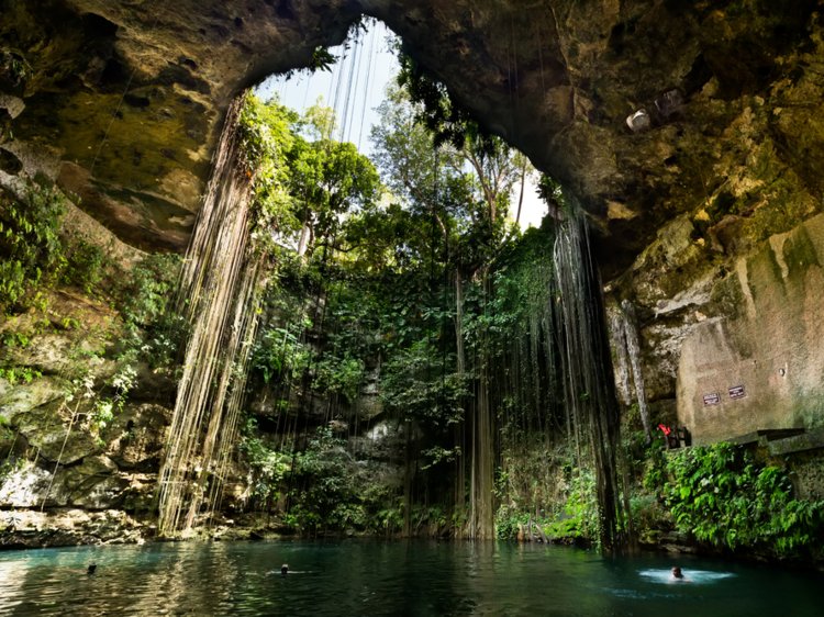 Cenotes-of-the-Yucat%C3%A1n-Peninsula.jpg