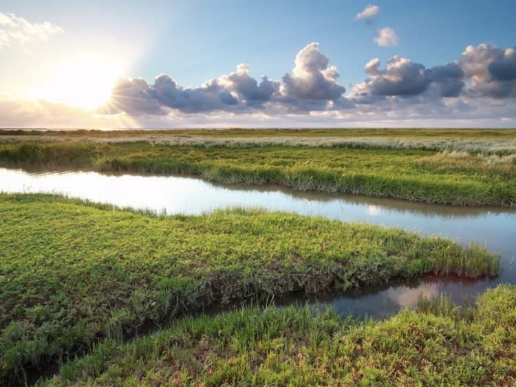 Wadden-Sea.jpg