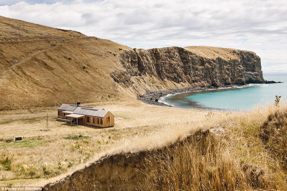 _a_secluded_bay_in_New_Zealand_-a-11_1518252179921.jpg