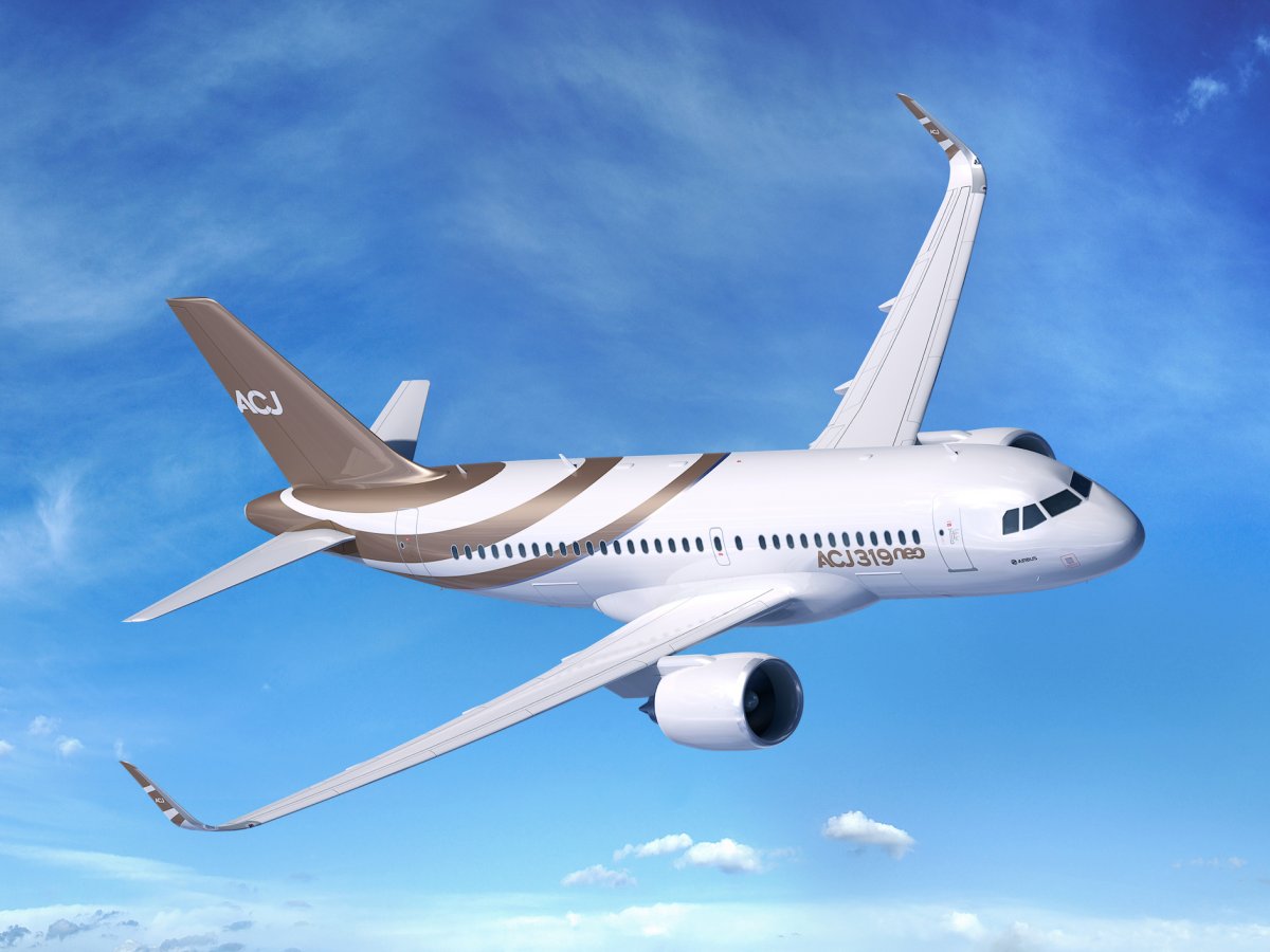 he-business-version-of-the-airbus-a319neo-airliner.jpg